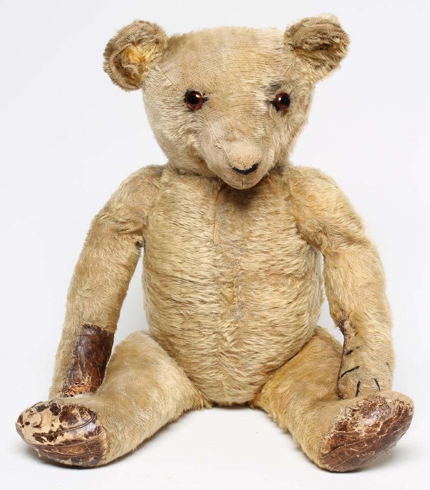 An English teddy bear Image