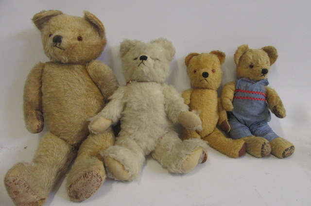 An English teddy bear Image