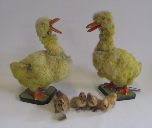 Two novelty clockwork ducks with nodding heads and working beaks Image