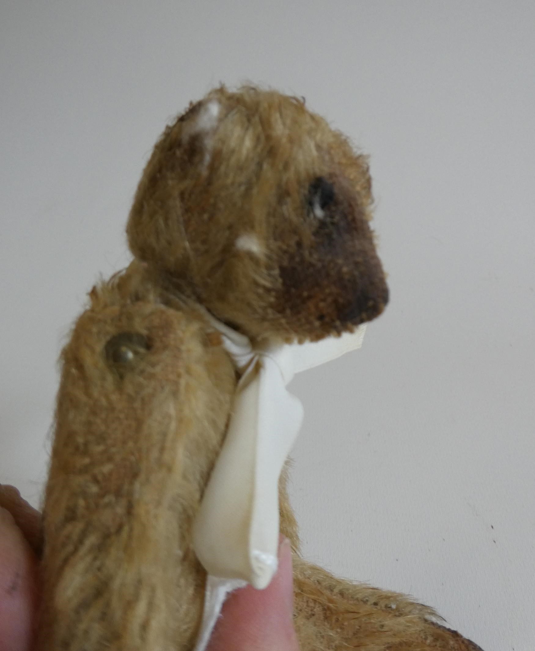 Soldier bear, with one button eye and one sewn, light orange plush, jointed neck, shoulders and Image