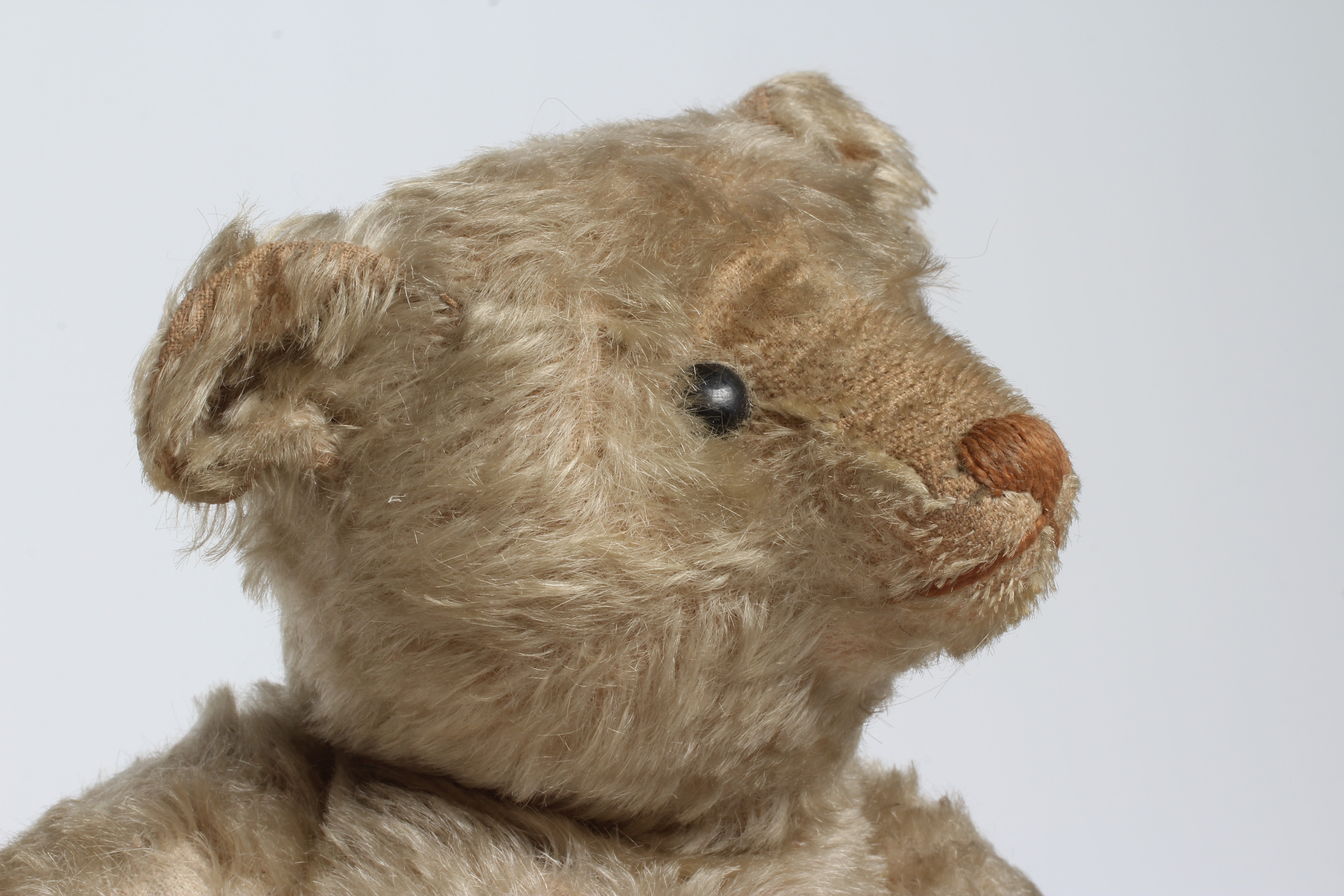 Rare Steiff white jointed teddy bear, with shoe button eyes, sewn nose, metal ear stud and felt Image