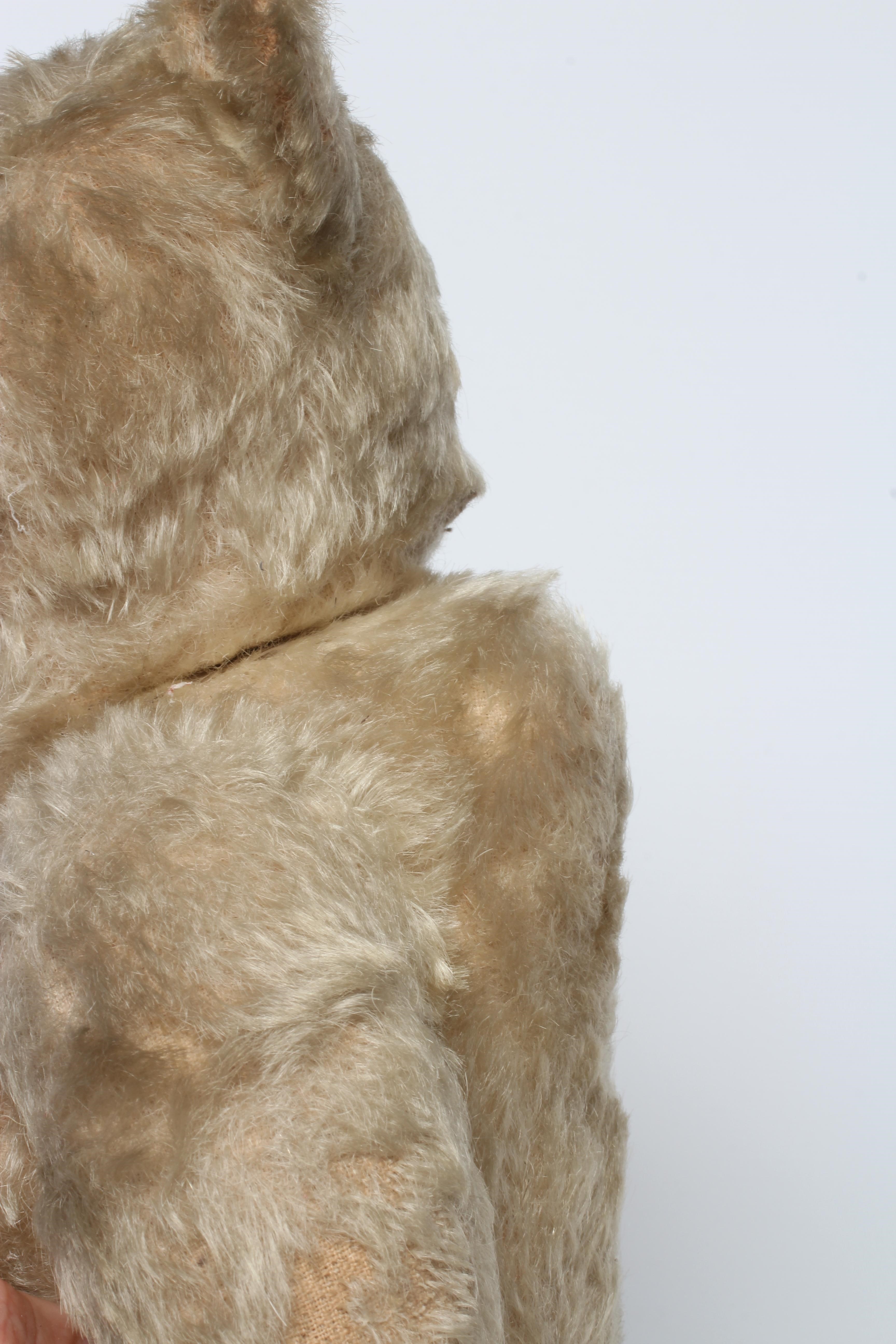 Rare Steiff white jointed teddy bear, with shoe button eyes, sewn nose, metal ear stud and felt Image