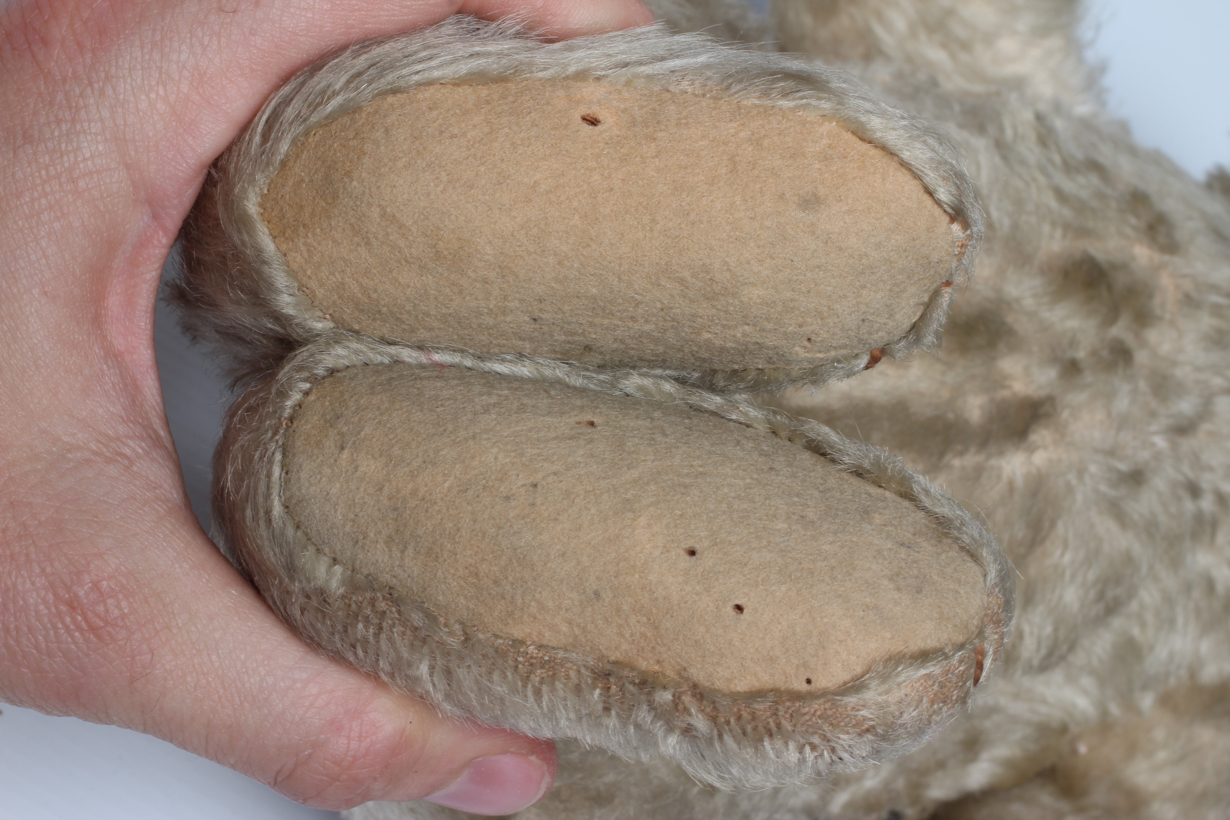 Rare Steiff white jointed teddy bear, with shoe button eyes, sewn nose, metal ear stud and felt Image
