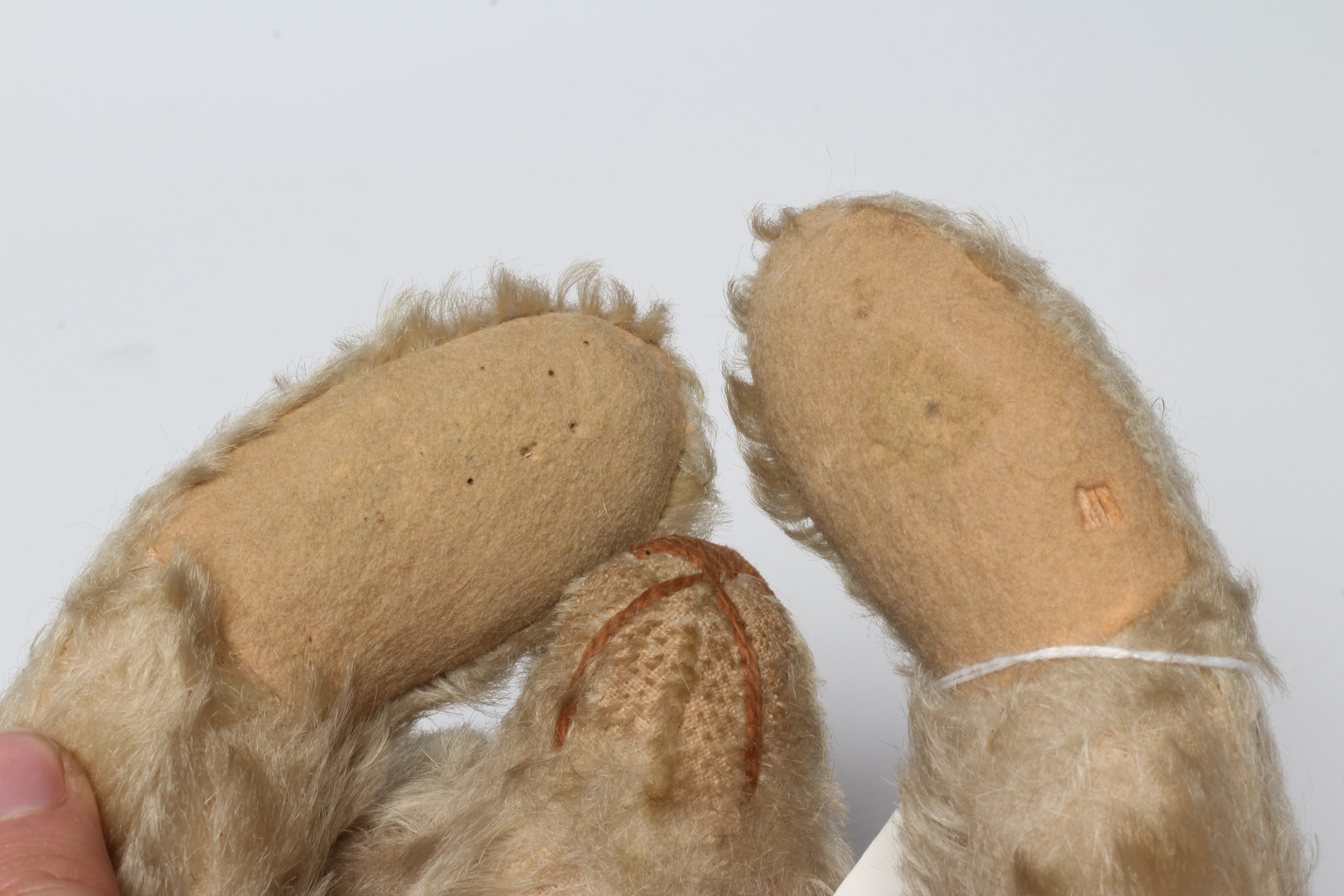 Rare Steiff white jointed teddy bear, with shoe button eyes, sewn nose, metal ear stud and felt Image