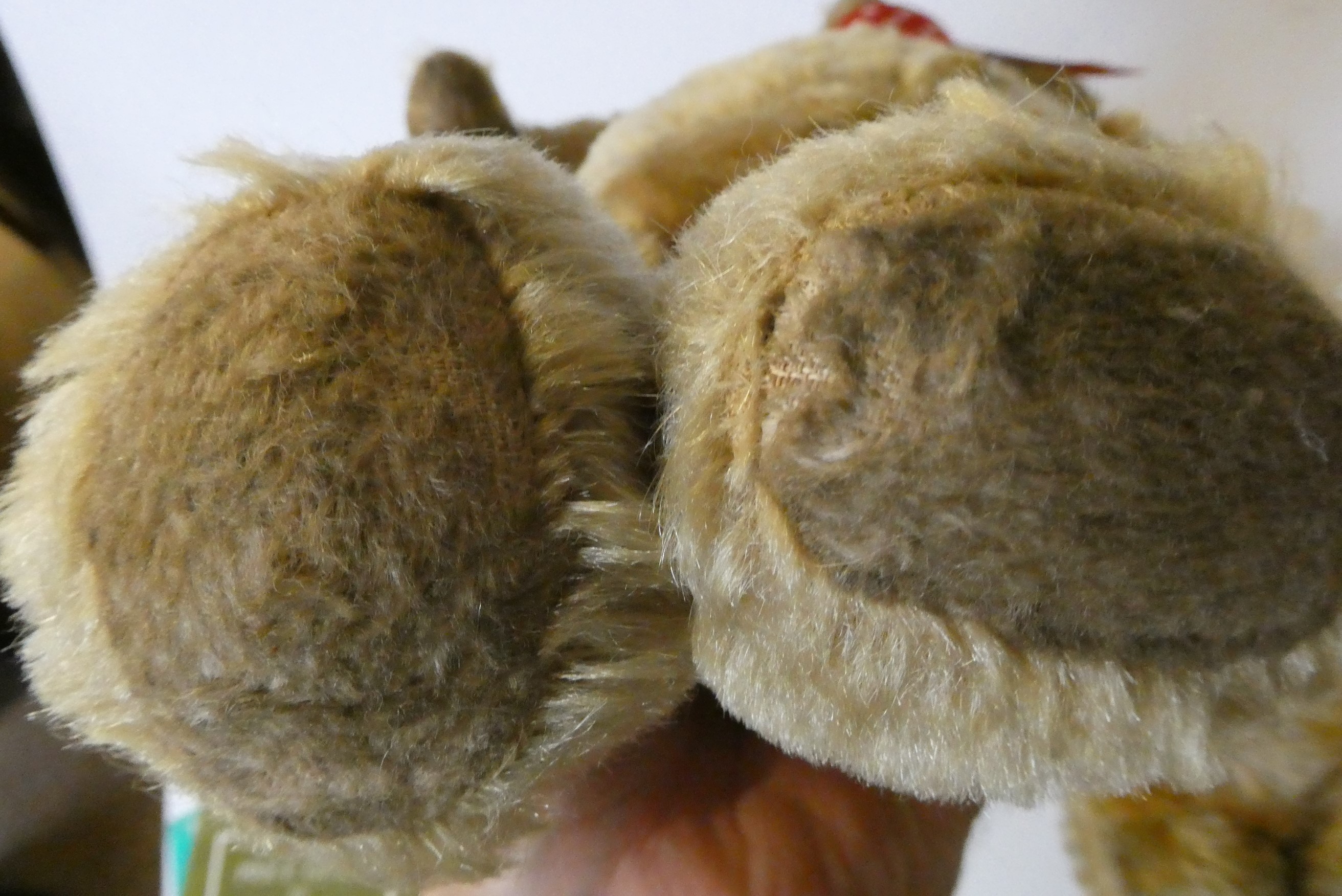Two vintage English teddy bears, comprising a 22 1/2" orange plush growling bear with amber eyes, Image