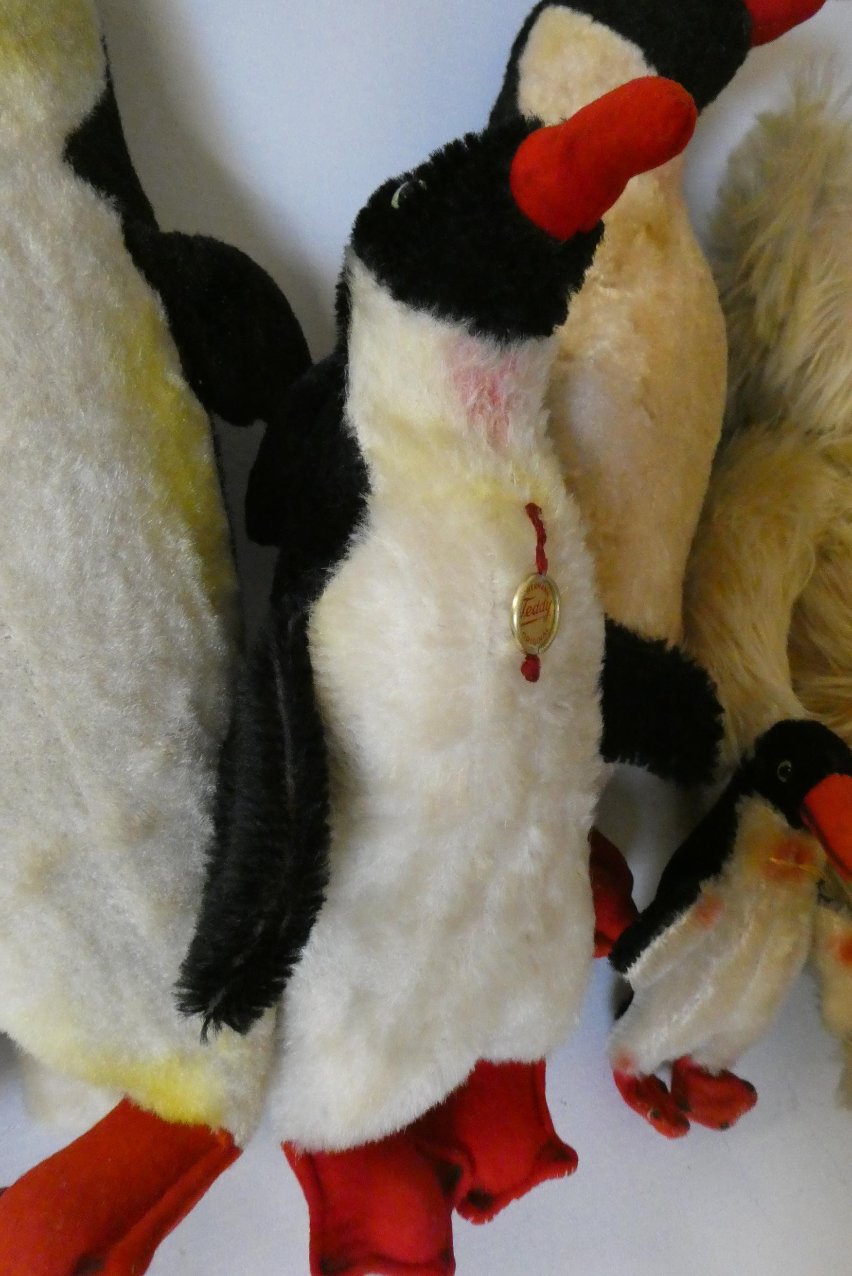 A family of Hermann Penguins, mum, dad, teenager and chick, two with original labels and all with Image