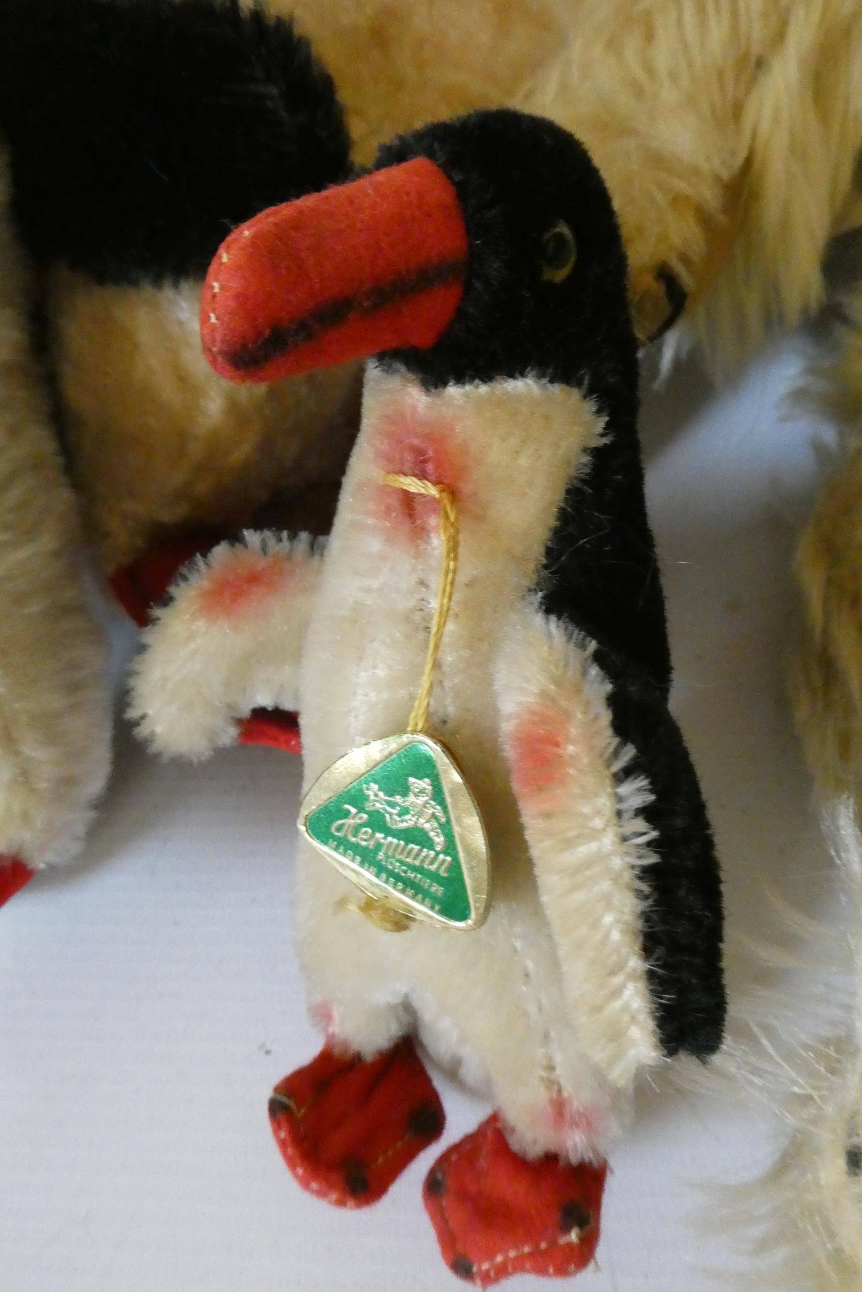 A family of Hermann Penguins, mum, dad, teenager and chick, two with original labels and all with Image