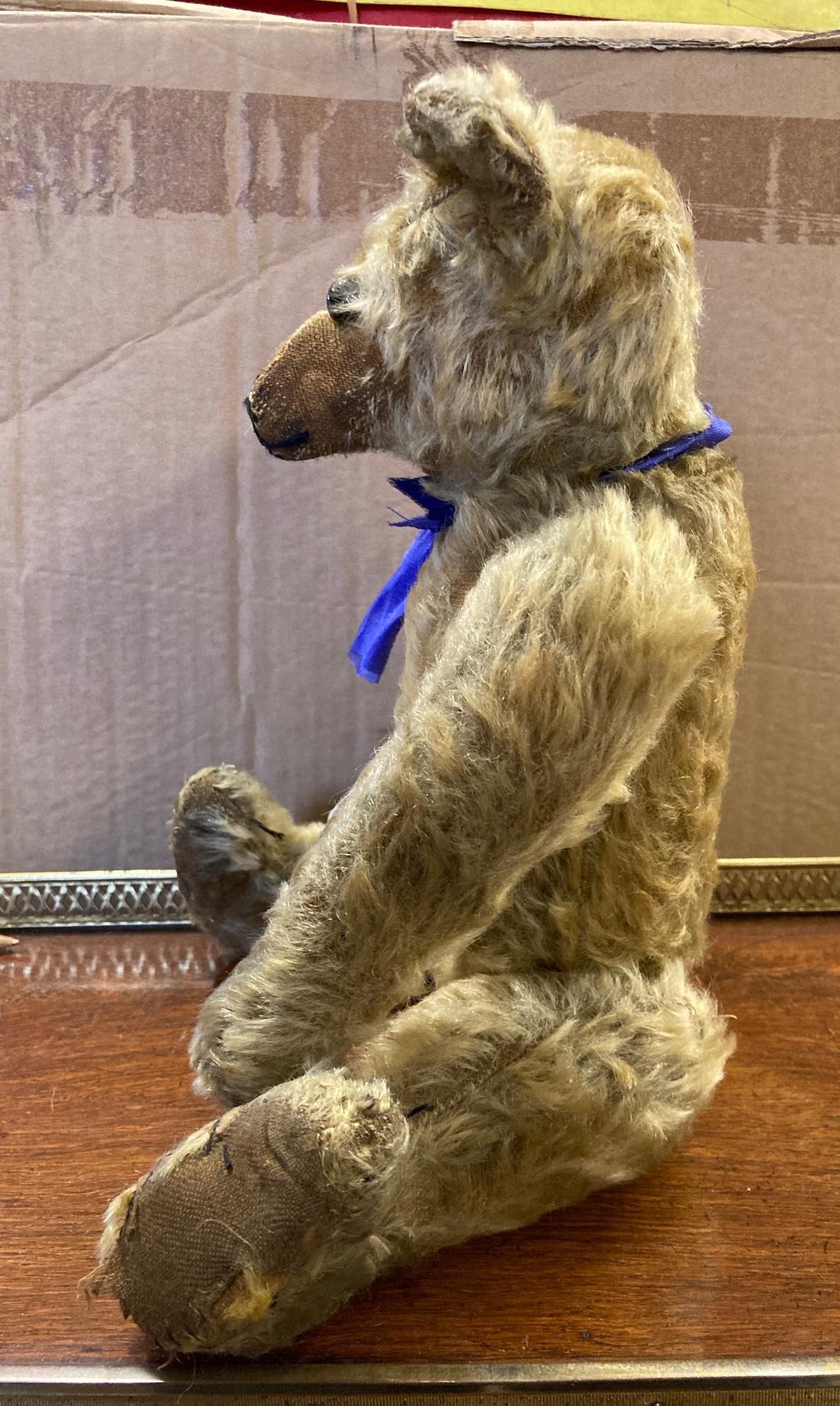A mohair jointed teddy bear, c.1910, with shoe button eyes, sewn nose, long nose and cloth pads, 14" Image