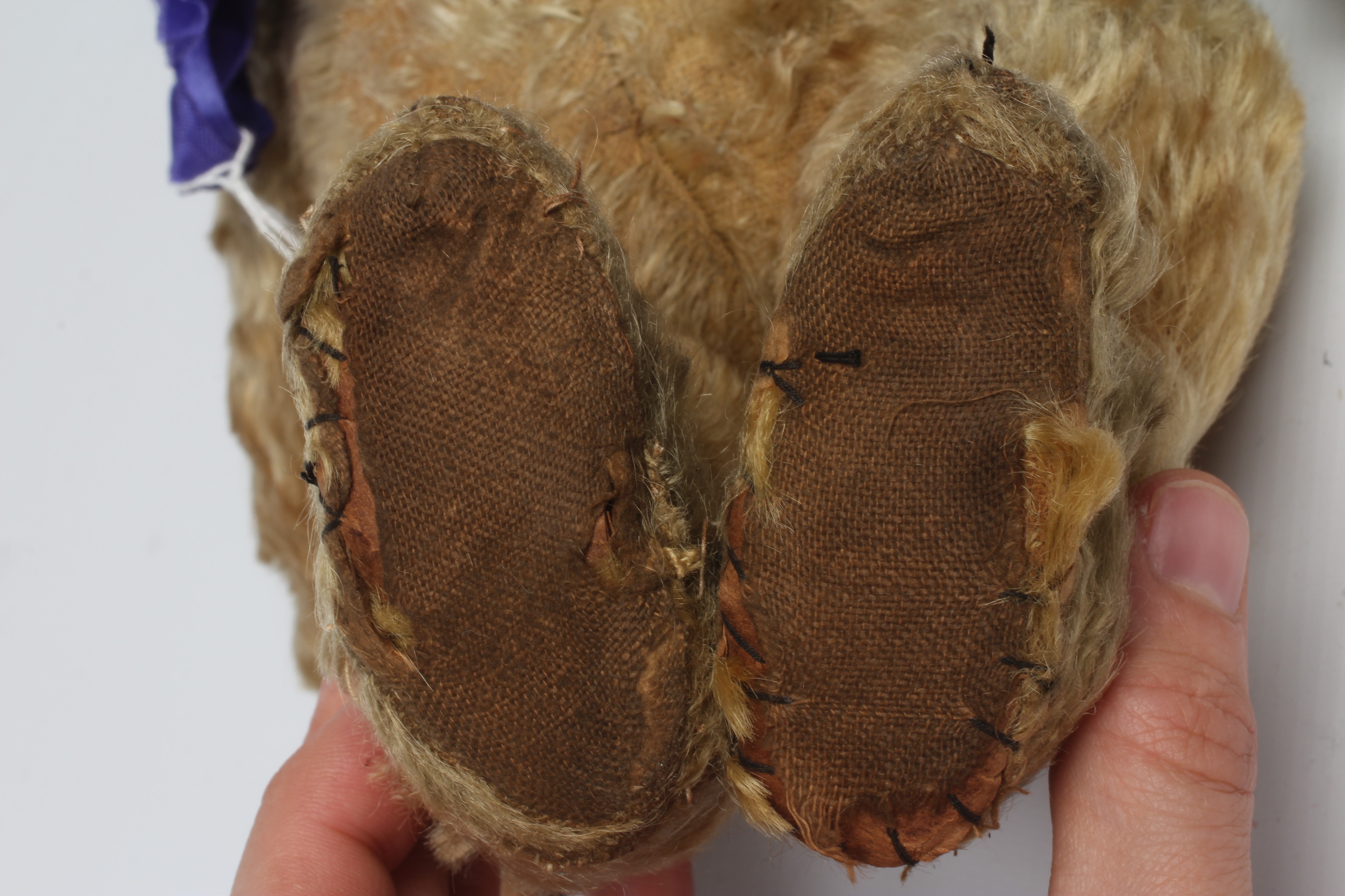 A mohair jointed teddy bear, c.1910, with shoe button eyes, sewn nose, long nose and cloth pads, 14" Image