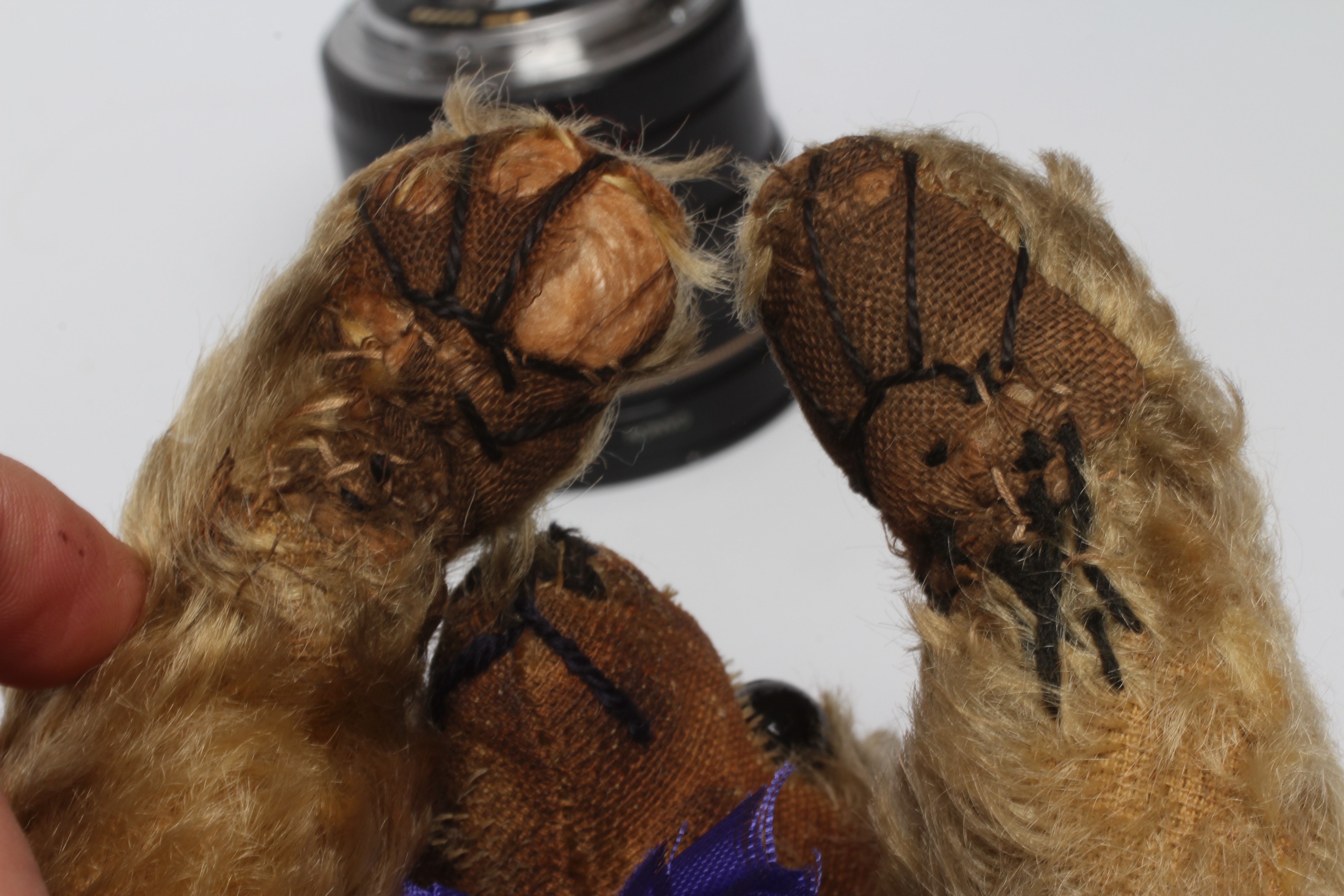 A mohair jointed teddy bear, c.1910, with shoe button eyes, sewn nose, long nose and cloth pads, 14" Image