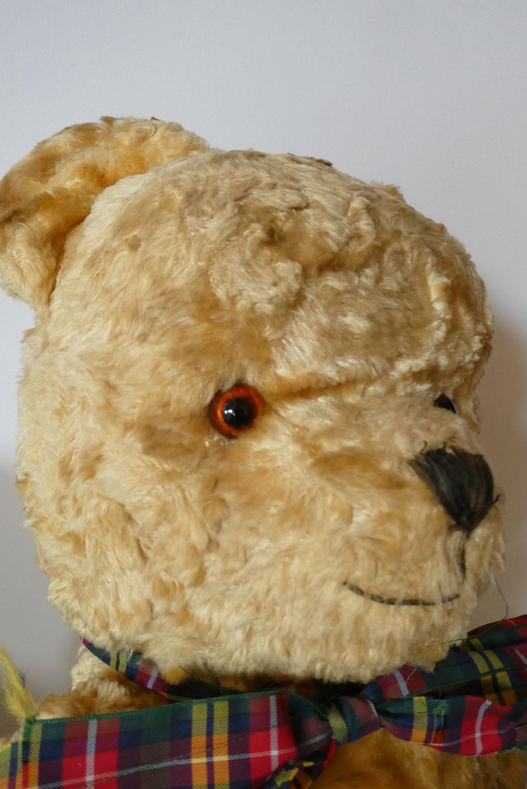 Two vintage jointed teddy bears comprising a 24" curly haired growling bear, with amber glass eyes, Image