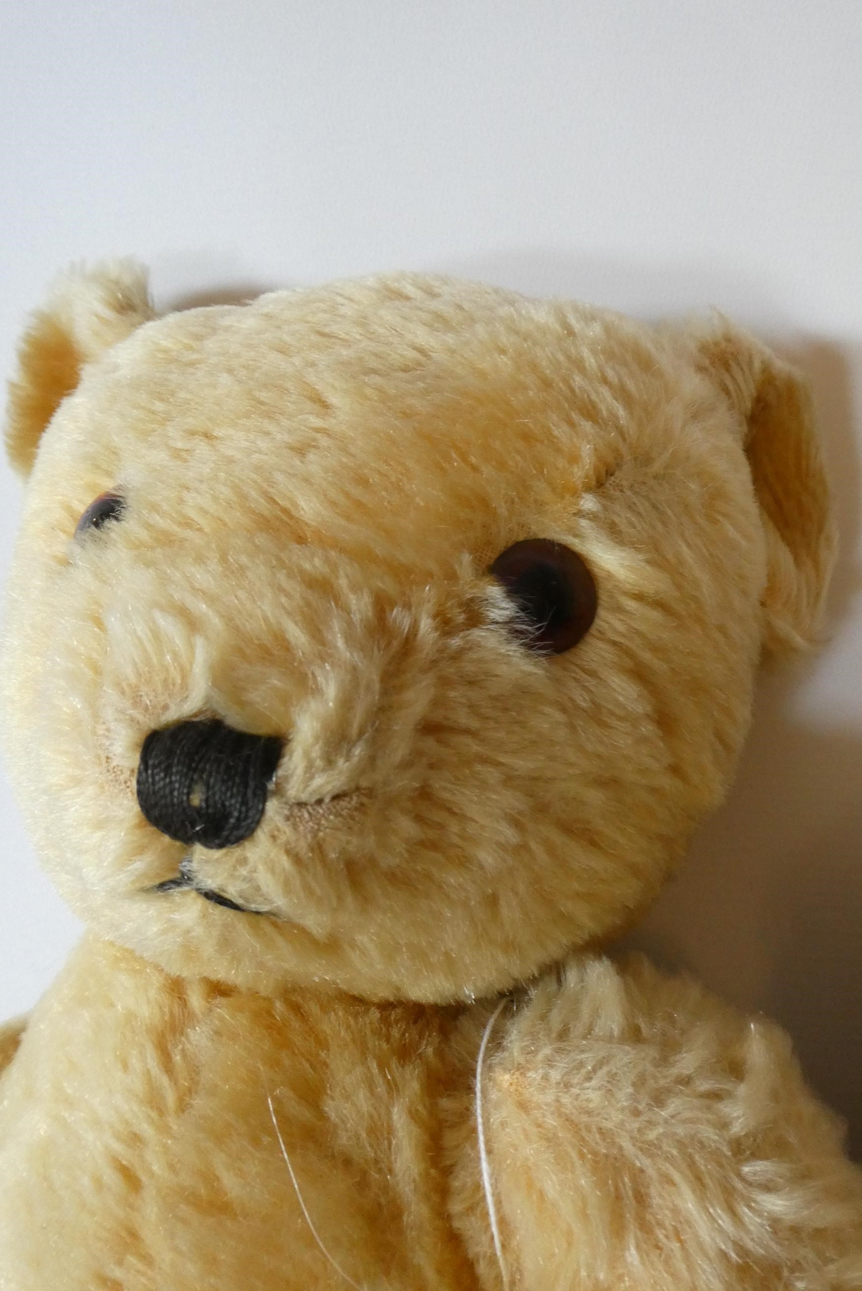Two vintage jointed teddy bears comprising a 24" curly haired growling bear, with amber glass eyes, Image