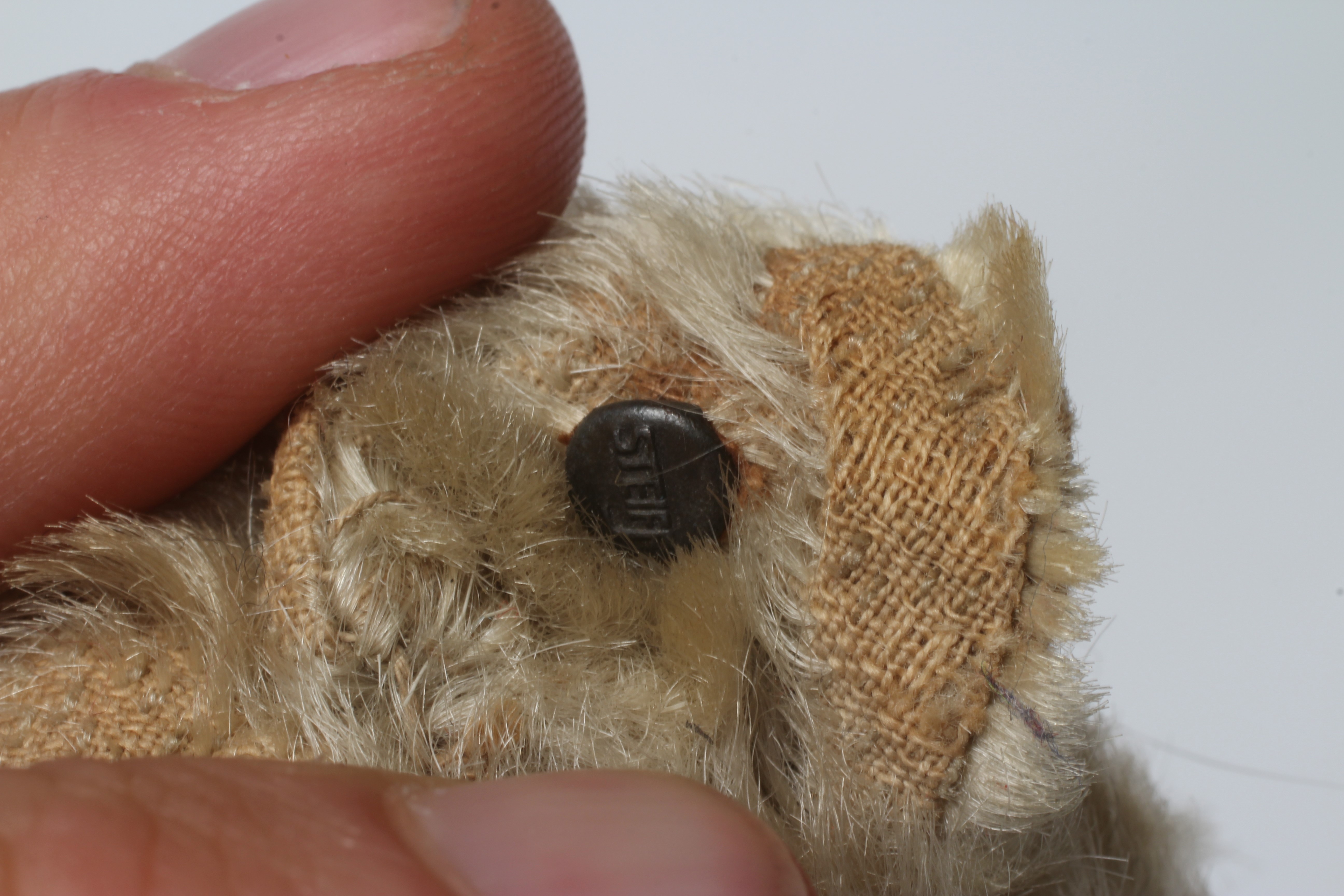 An early 20th century Steiff teddy bear with metal ear button, black shoe button eyes, light orange Image