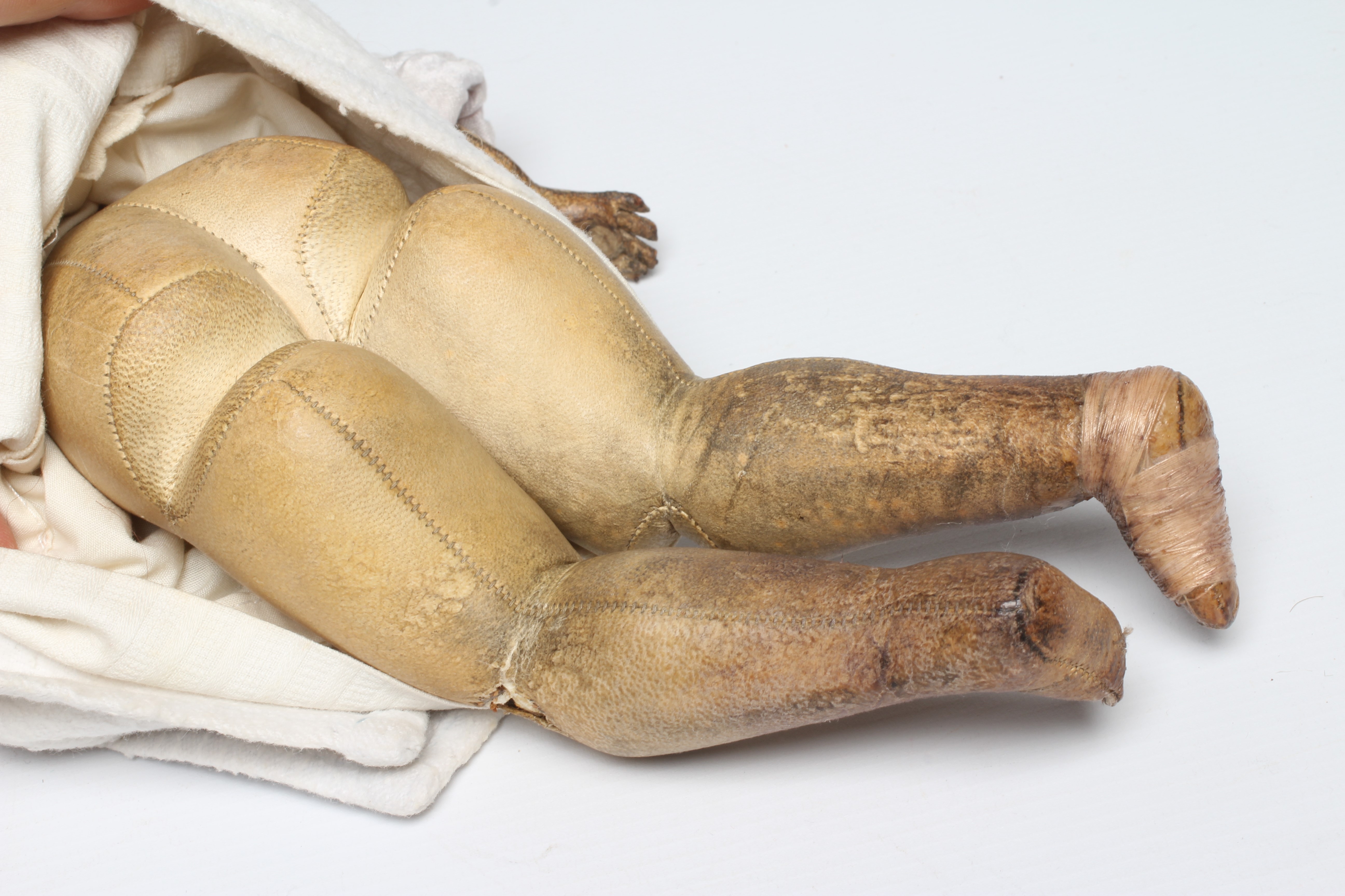 A French bisque swivel neck shoulder head fashion doll Image