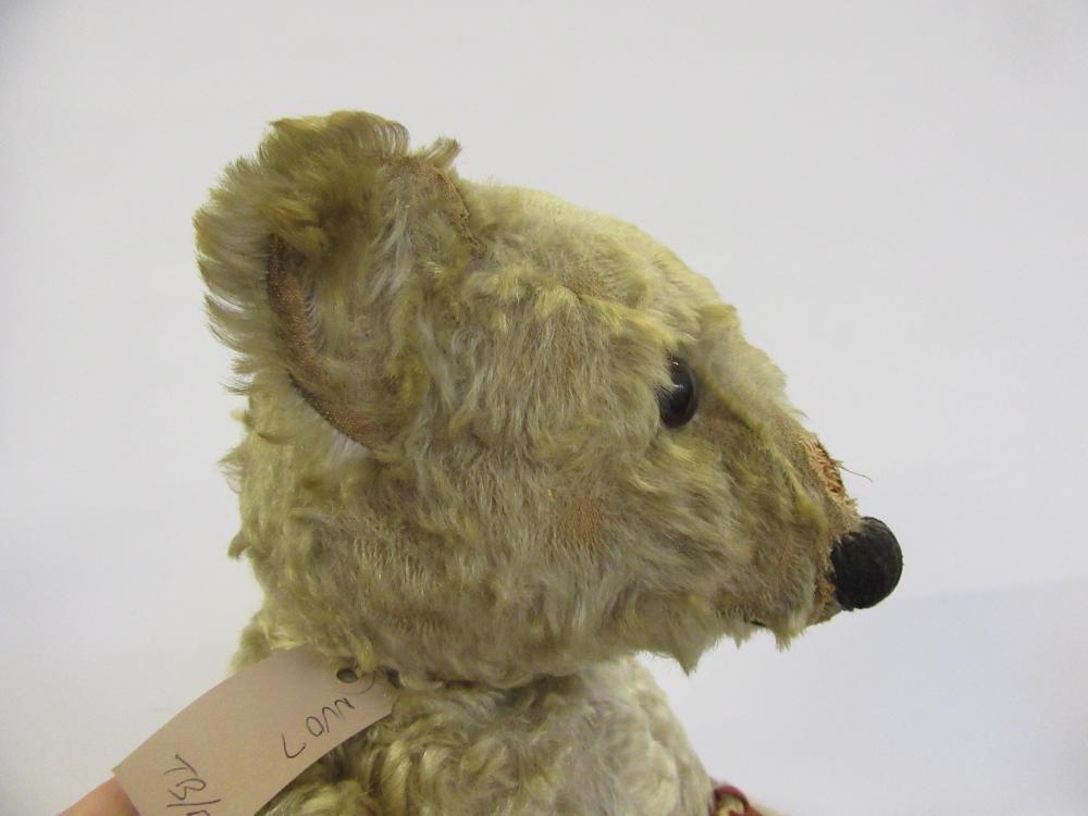 An early 20th century teddy bear Image