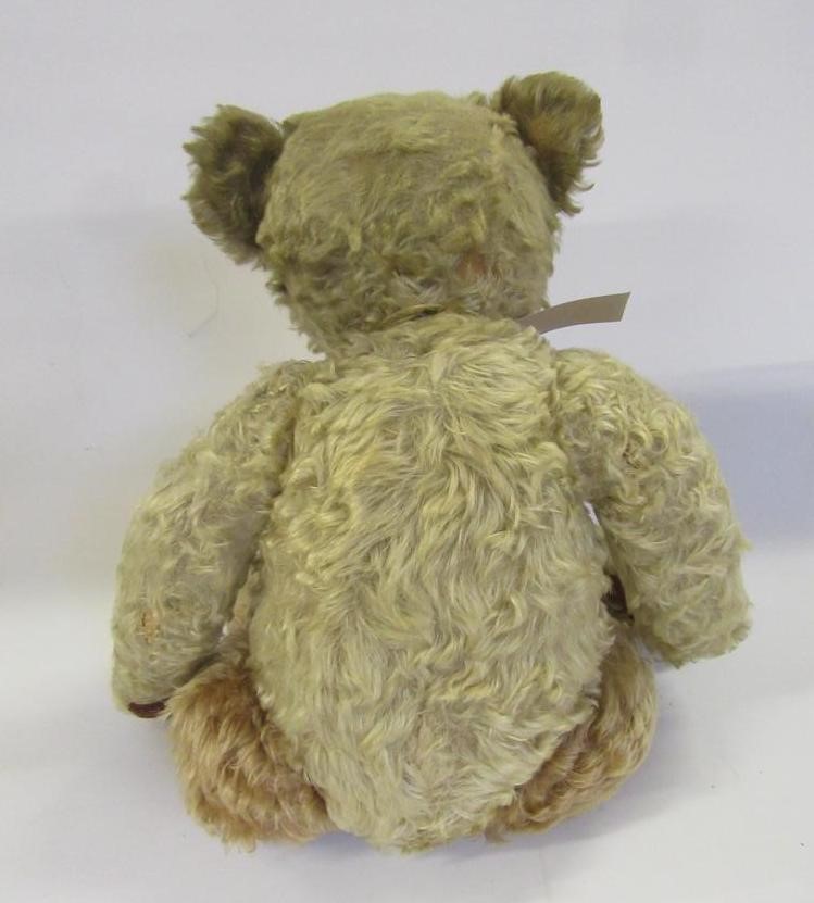 An early 20th century teddy bear Image