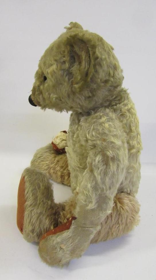 An early 20th century teddy bear Image