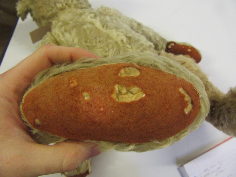 An early 20th century teddy bear Image