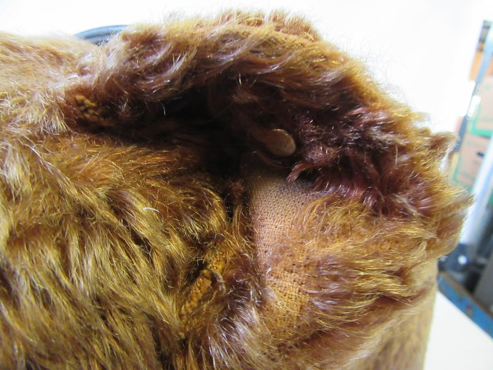 A Steiff bear on wheels Image