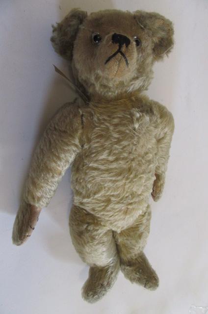 A Farnell teddy bear Image