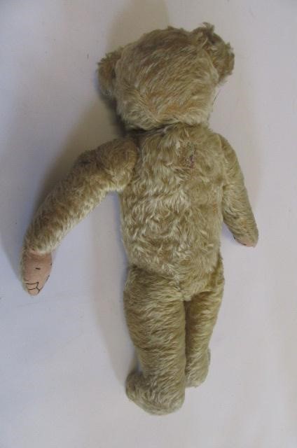 A Farnell teddy bear Image