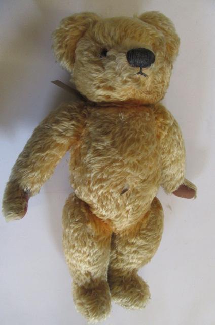 Chad valley hot sale teddy bear 1960s