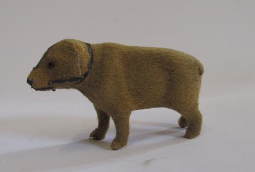 A bear standing on all fours Image