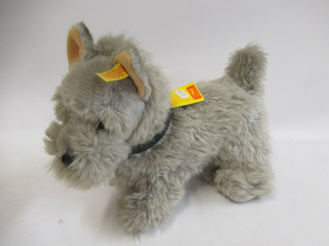 Steiff Junior Raudi Scottie dog, with leather nose, leatherette collar, ear label and button, 13" Image
