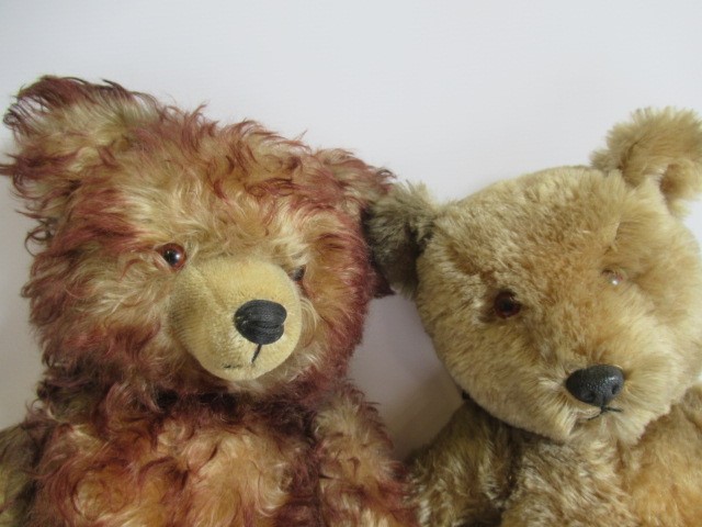 A 21" vintage teddy bear, with plastic nose and amber eyes, together with a 24" bi-colour collectors Image