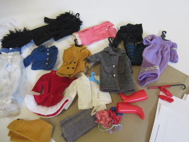 A collection of Sindy accessories Image