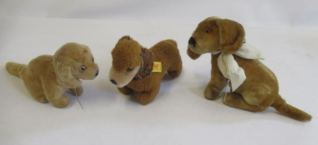 Three Steiff dogs, comprising a 1950s/60s Bazi, a later Bazi with silver button and a 1970s/80s Image