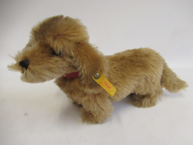 A Steiff Waldi dog, with brass button, label, card tag and leather collar, 30cm long (Est. plus 24% Image