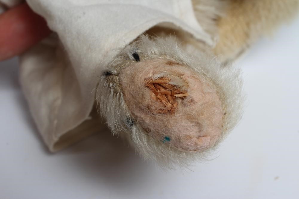 A rare pre-war white teddy bear, with amber glass eyes, sewn nose, white plush, straw filling, felt Image