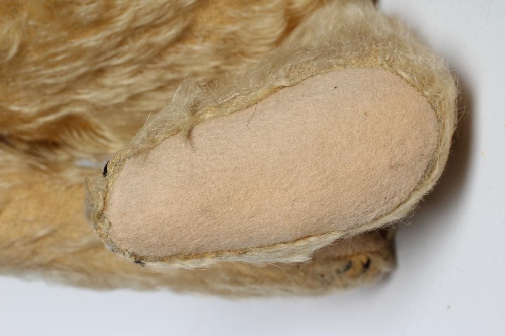 An early Steiff teddy bear, with amber glass eyes, sewn nose, felt pads, orange plush and button to Image