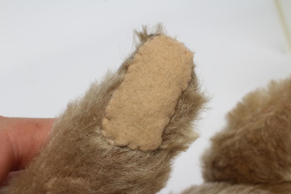 An old Steiff teddy bear, with black button eyes, sewn nose, replaced felt pads, light orange plush Image