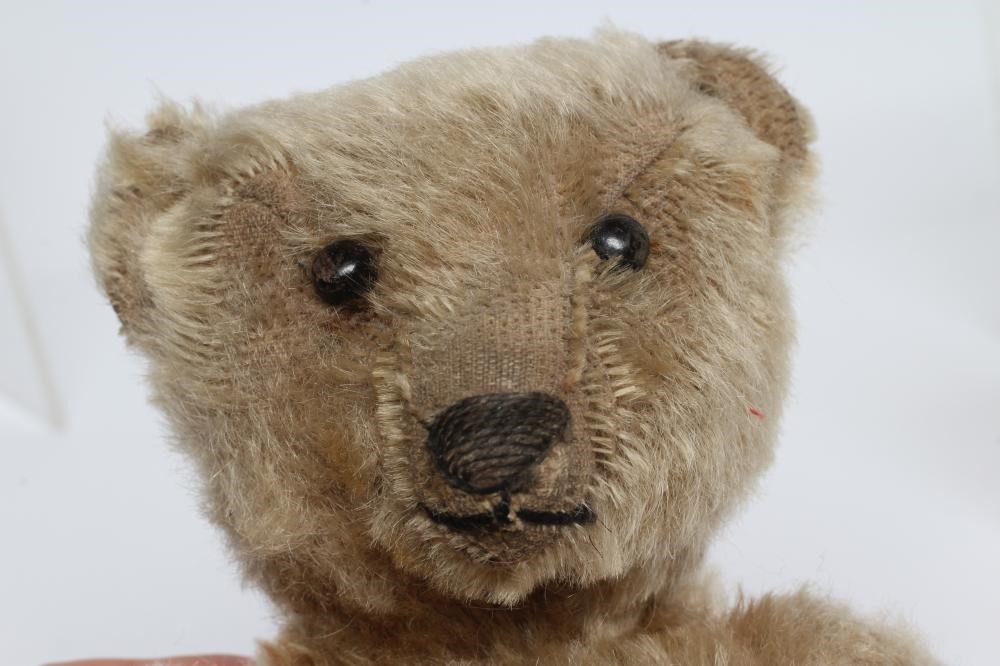 An old Steiff teddy bear, with black button eyes, sewn nose, replaced felt pads, light orange plush Image
