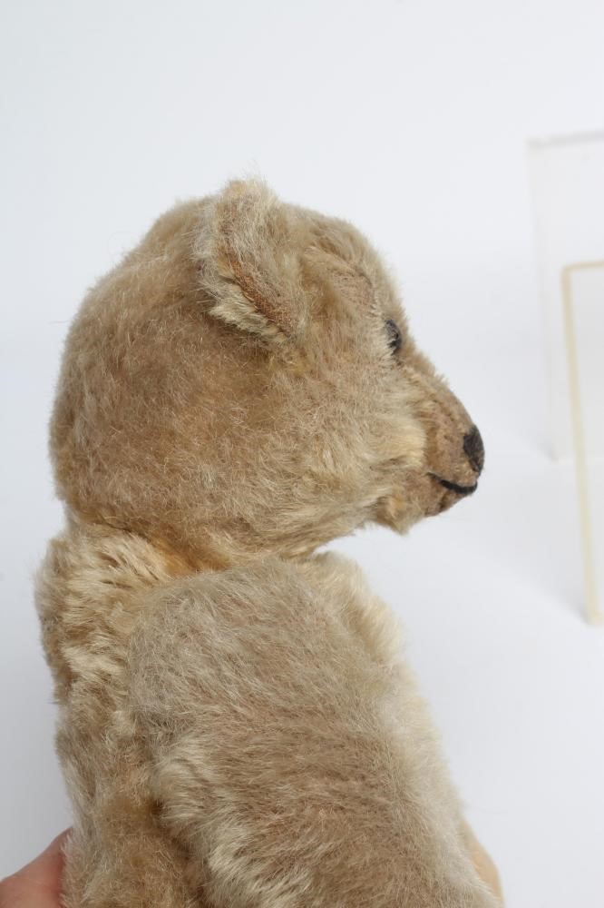 An old Steiff teddy bear, with black button eyes, sewn nose, replaced felt pads, light orange plush Image