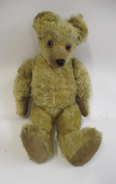 An old English teddy bear, with large amber glass eyes, shaved muzzle, sewn nose, yellow plush and Image
