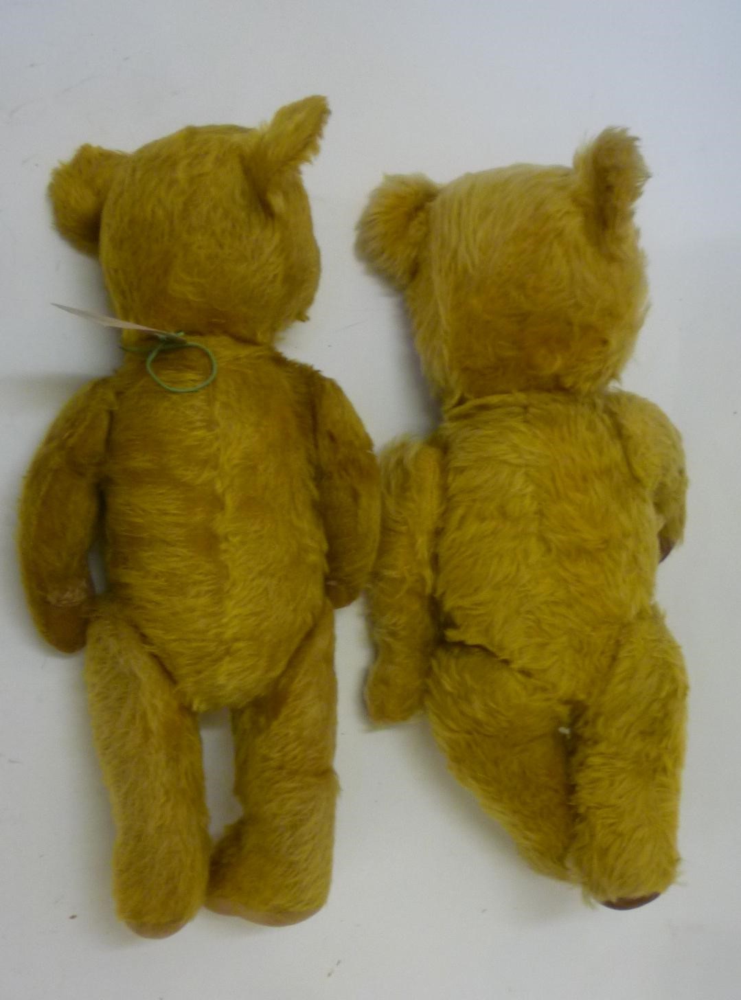 A Chiltern teddy bear covered in gold plush with black/amber eyes Image