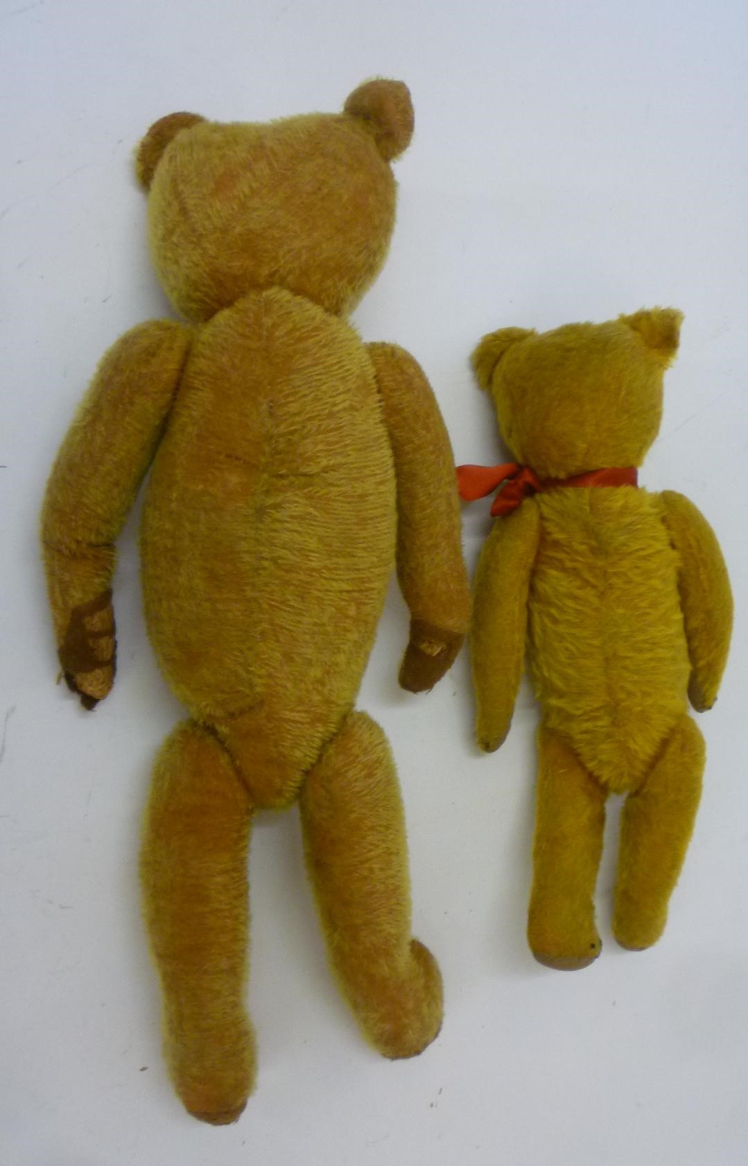 An American teddy bear Image