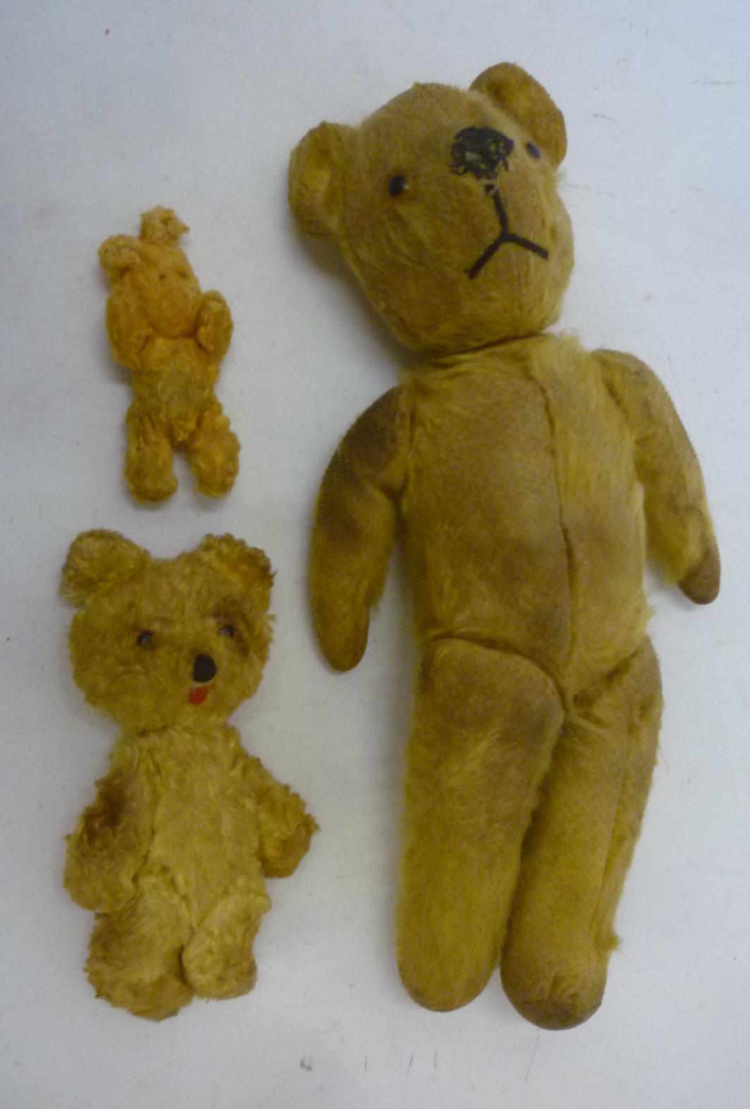 An English teddy bear Image