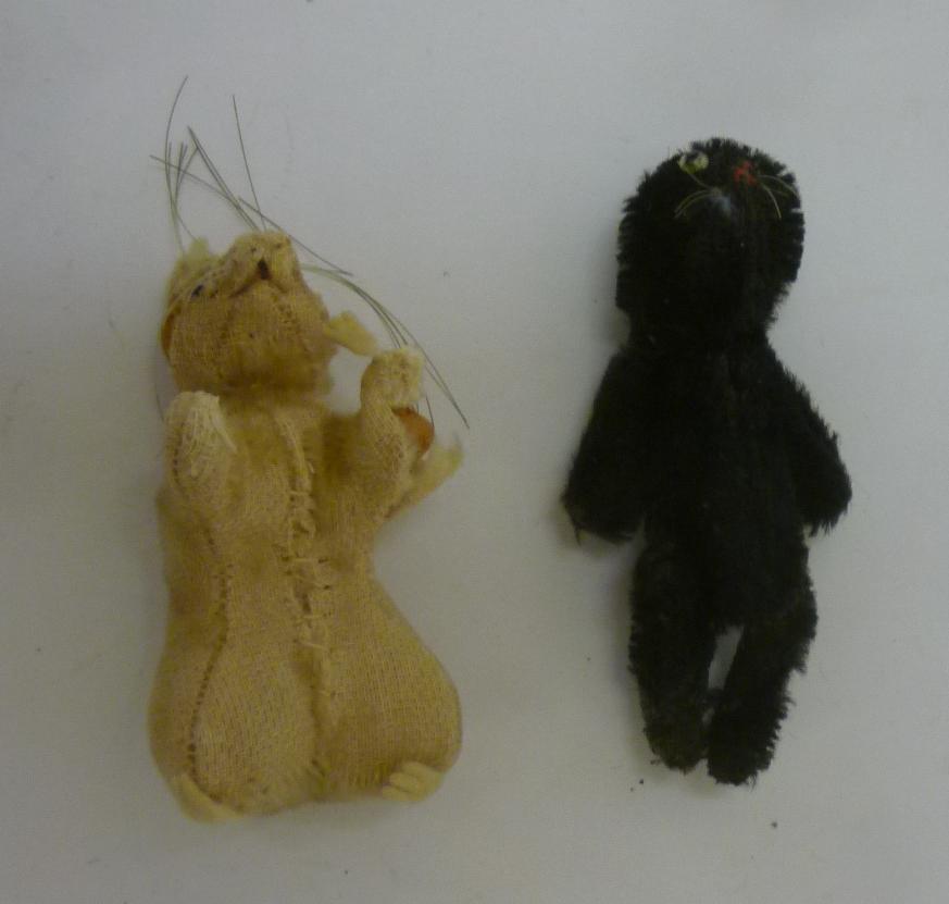 A miniature "soldier" cat Image