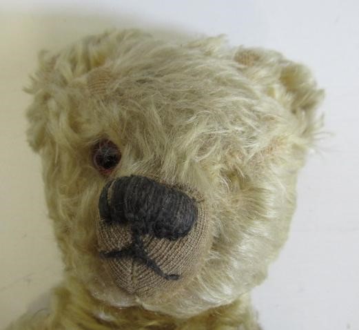 A pre-war teddy Image