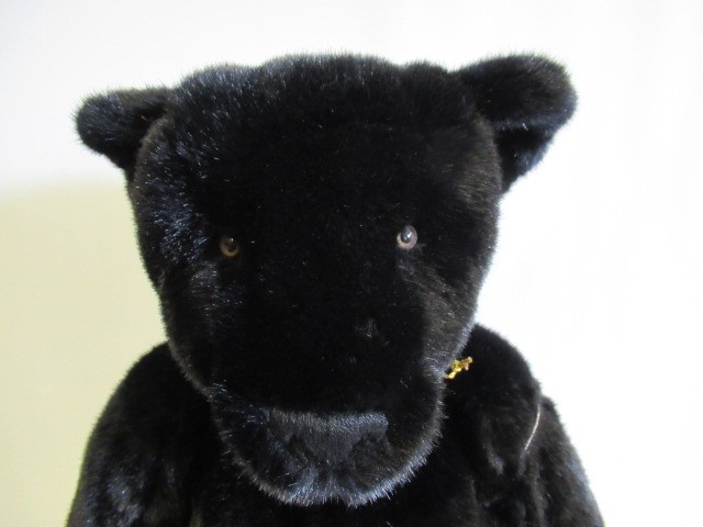 A large "OUT-O-THE WOODS" growling teddy bear Image