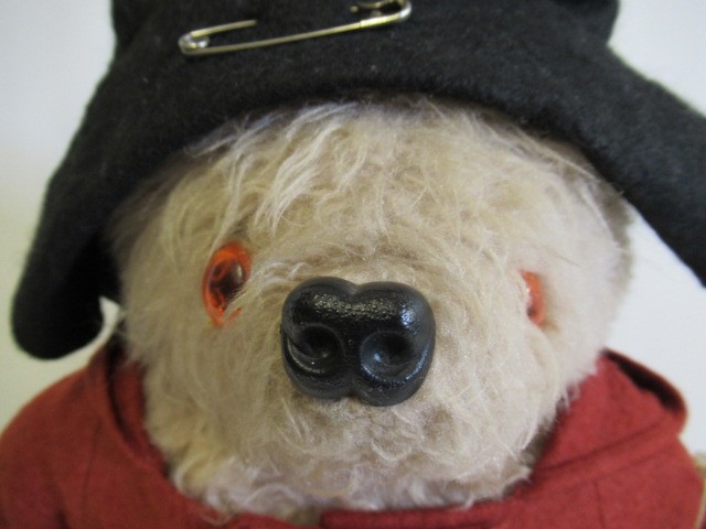 A Paddington Bear Image