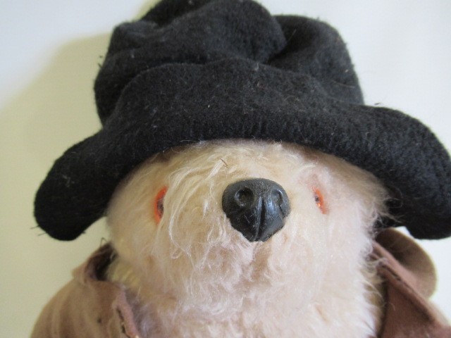 A Paddington Bear Image
