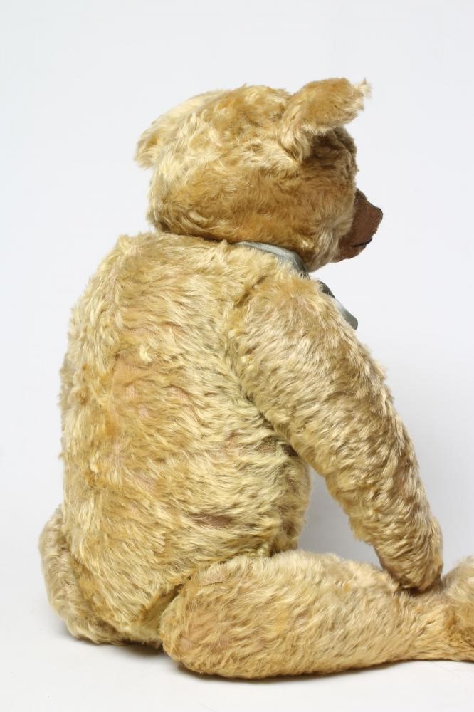 A pre-war Farnell Teddy Image