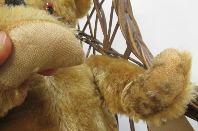 A vintage teddy bear Image