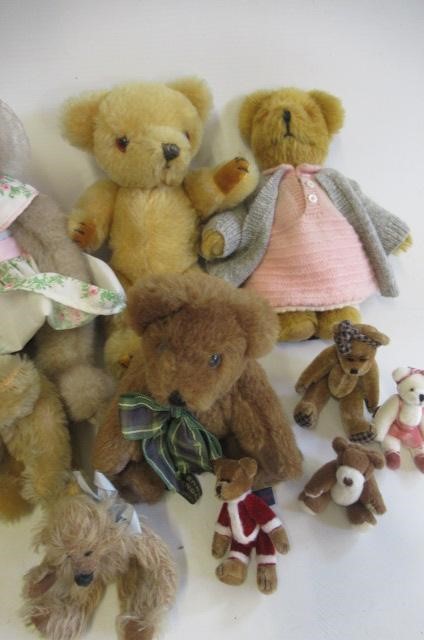 Sixteen teddy bears Image