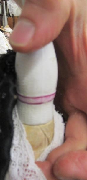 An early Kling bisque shoulder head doll Image